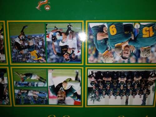 Springbok Rugby Calendar 2008
