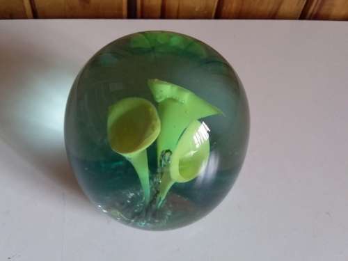 Solid Glass Paperweight with Tulips Theme - Has chip on side of bottom