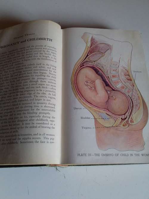 Modern Medical Counselor 10th Edition 1945