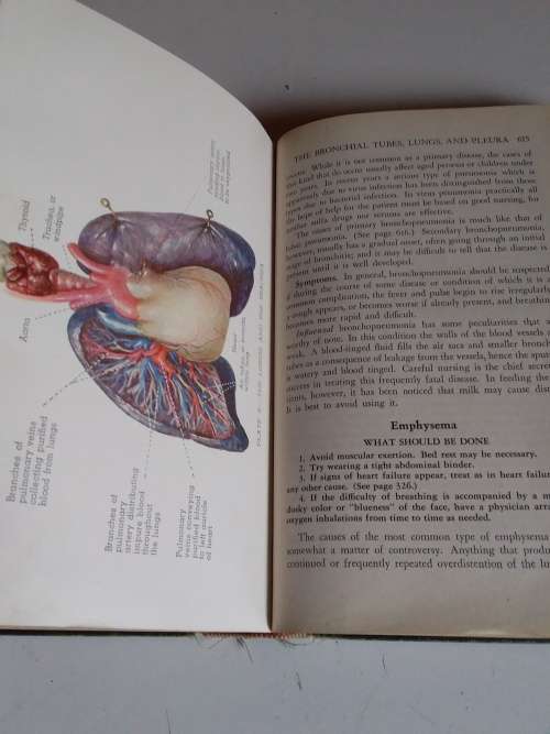 Modern Medical Counselor 10th Edition 1945