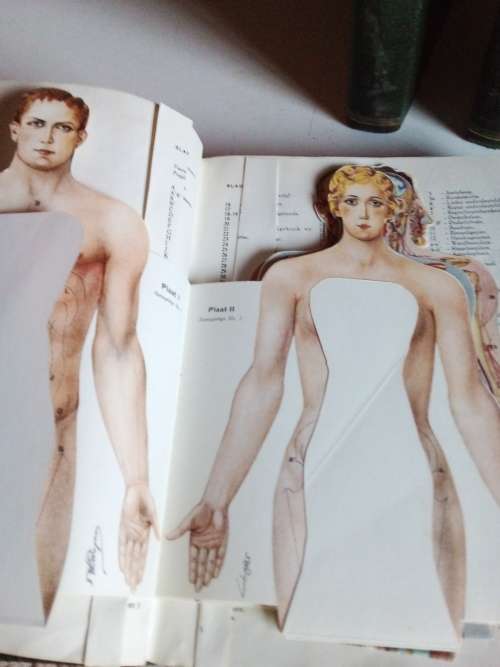 Die Afrikaanse Huisdokter Deel 1,2 en 3