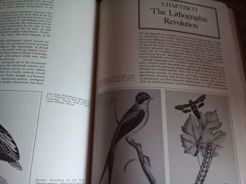 The Art of Natural History - S.Peter Dance First Published 1978