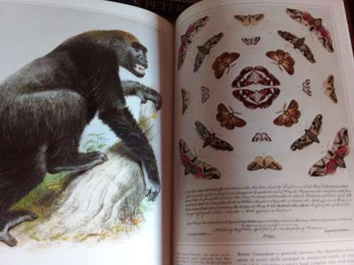 The Art of Natural History - S.Peter Dance First Published 1978