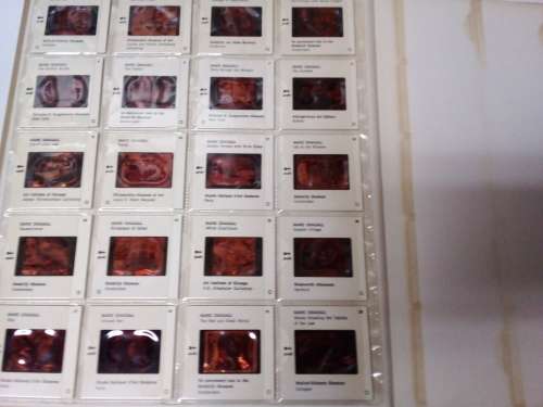 Vintage Art Book with 20 Slides  - Chagall