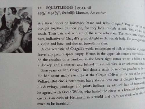 Vintage Art Book with 20 Slides  - Chagall