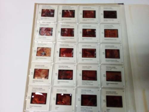 Toulouse-Lautrec Art Book with Colour Slides
