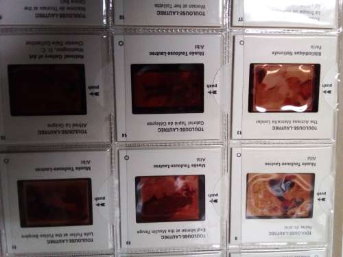 Toulouse-Lautrec Art Book with Colour Slides