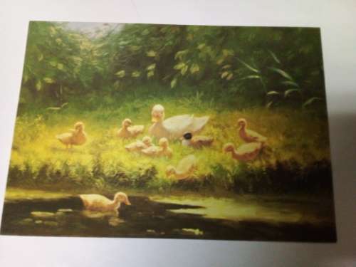 Woman`s Weekly `Ducklings by River Edge` Postcard