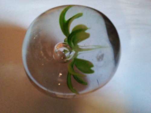 Small Solid Glass Paperweight with Inner Decoration