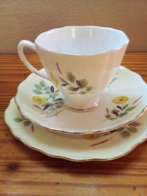 Vintage Colclough Bone China Trio