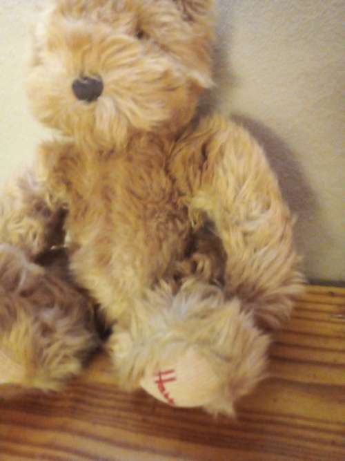 Harrods Soft and Cuddly Teddy Bear