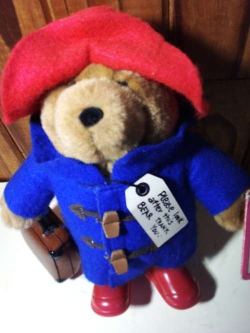 Smaller Paddington Bear