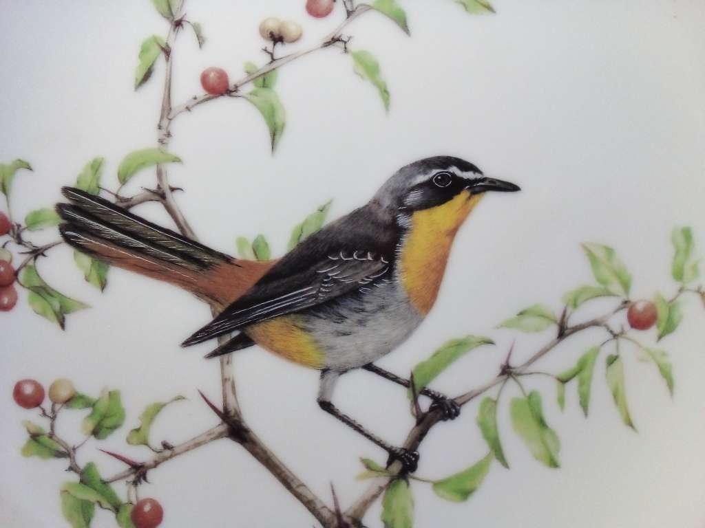 Heritage Porcelain `Cape Robin` Plate (SP004)