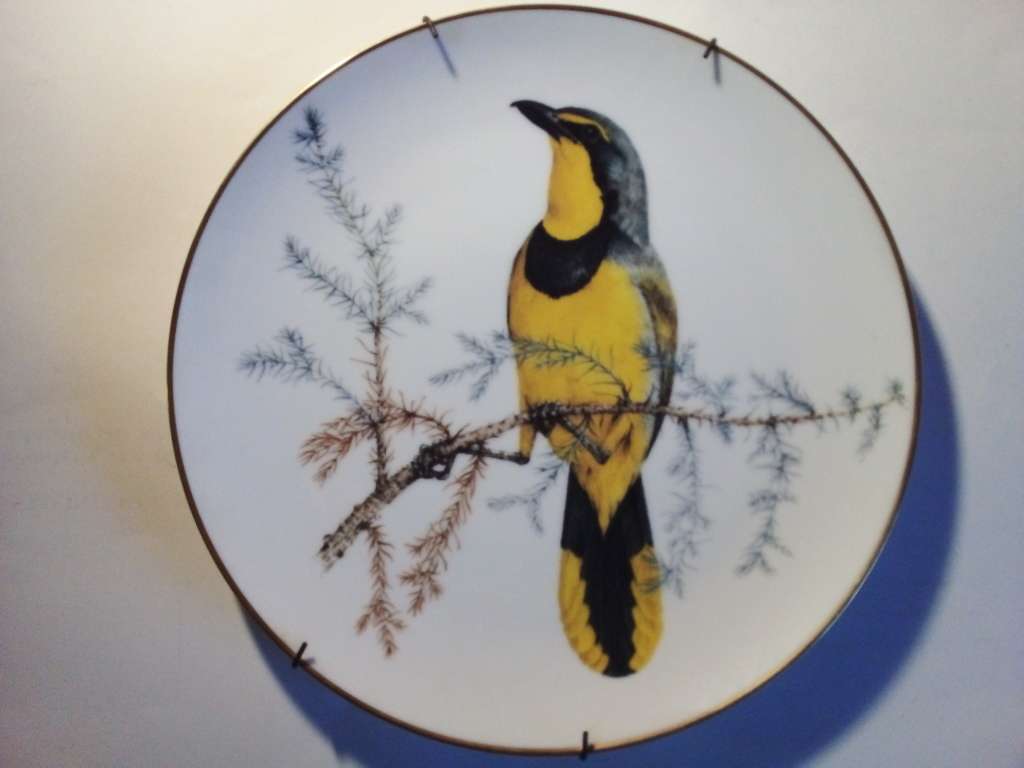 Heritage Porcelain `Bokmakierie` Plate (SP005)