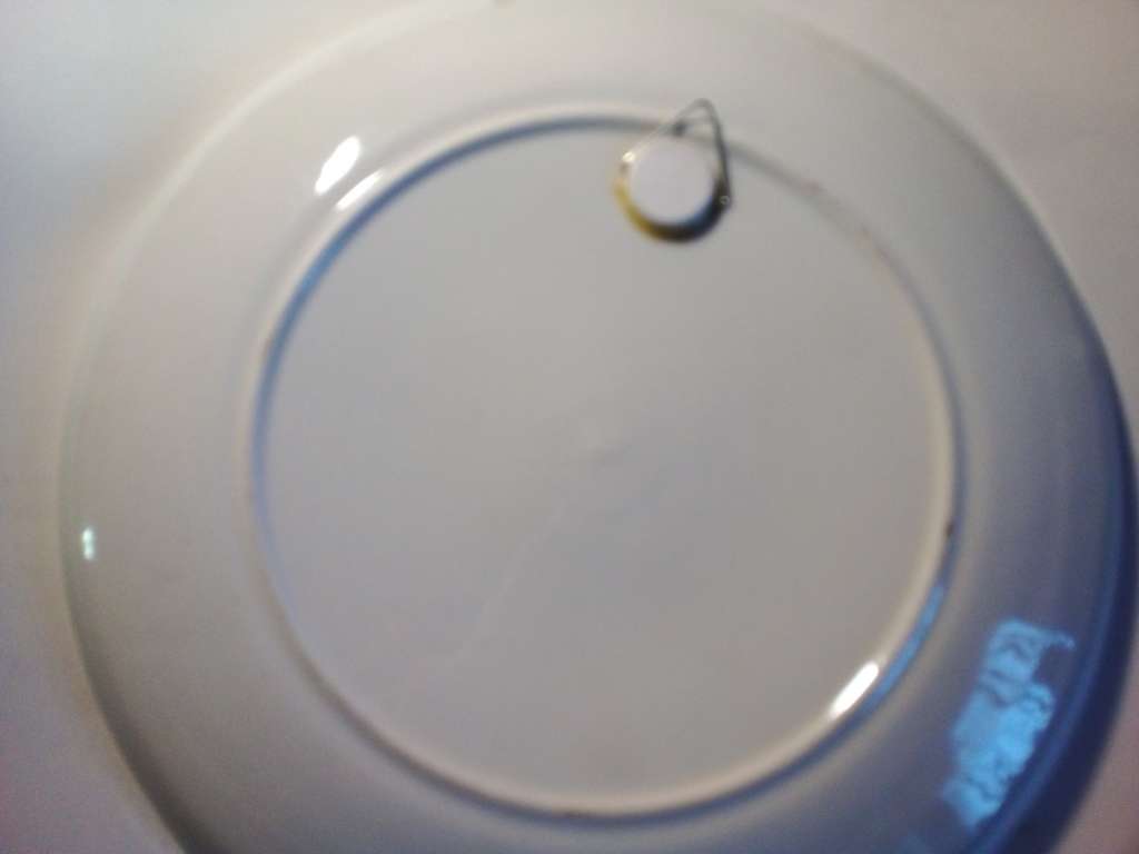 Bright Hand Painted Oriental Plate (SP008)