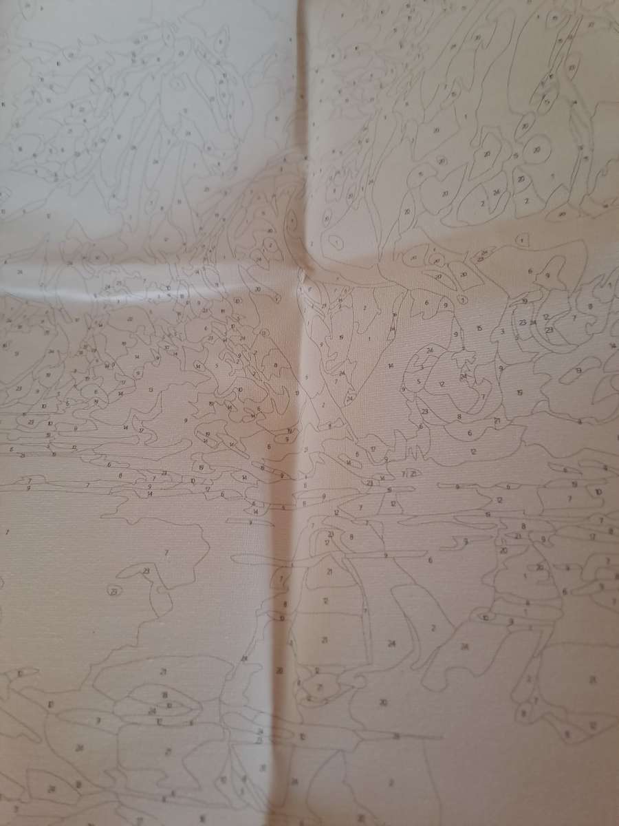 16inch x 20inch Beautiful Horses Paint by Numbers on Canvas