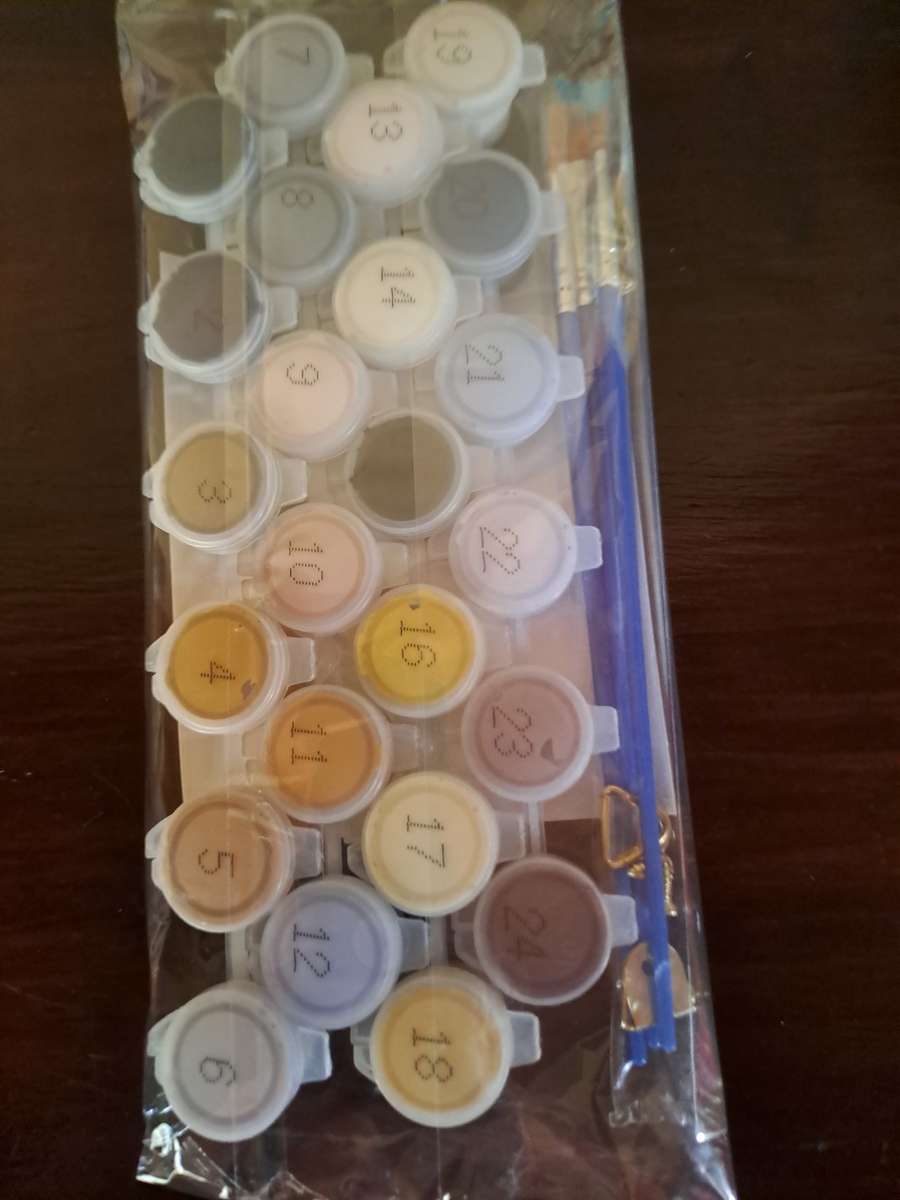 16inch x 20inch Beautiful Horses Paint by Numbers on Canvas