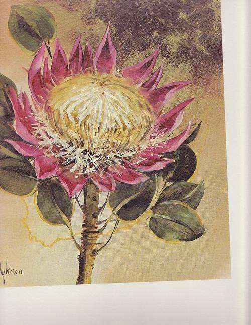 100 Sets of Bouquet Five - Jeanette Dykman ( 5x signed quality prints in one set) ALL FOR ONE BID