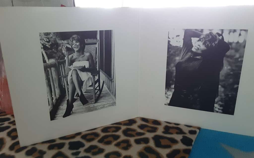 Tina Turner  - Simply The Best Vinyl LP