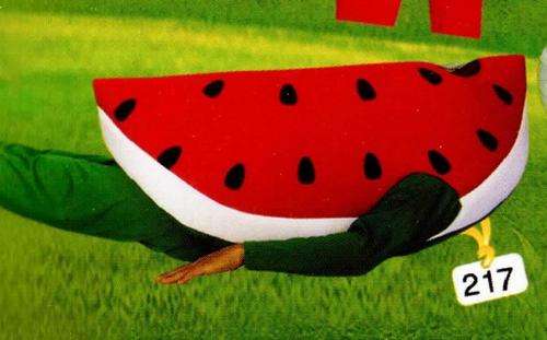 Watermelon Child Costume
