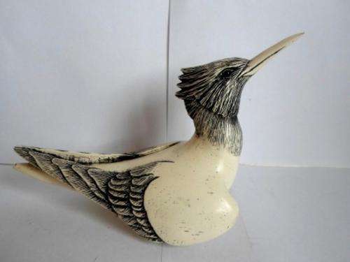 WOW!! FEATHERS OF KNYSNA SCRIMSHAW "SANDWICH TERN" 44/2000, MINT CONDITION!!