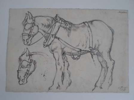 WOW!! LOVELY!! RAPHAEL GHISLAIN HORSE INK SKETCH DATED '55  250 X 170mm WOW!!