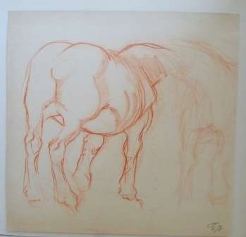 WOW!! LOVELY!! RAPHAEL GHISLAIN HORSE SKETCH DATED '48  270 X 260mm WOW!!