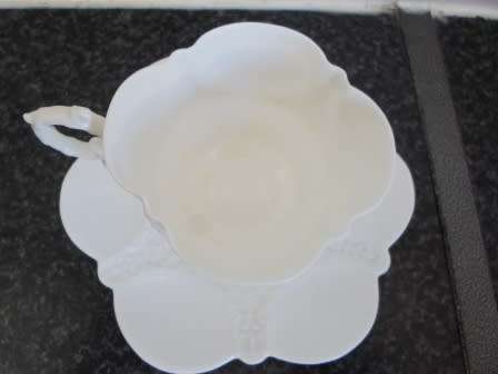 RARE!! VICTORIAN ANSLEY TEA CUP & SAUCER CIRCA  1890's  AMAZING FIND!! WOW!!