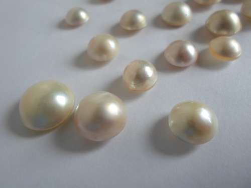 WOW!! COLLECTION OF 19 MABE PEARLS WOW!!