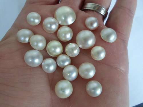 WOW!! COLLECTION OF 19 MABE PEARLS WOW!!