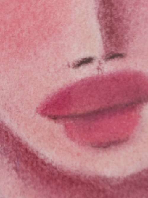 Gorgeous!! H. Wessels pastel on paper 370 x 310mm wow!!