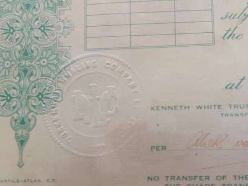 Rare!! Antique Donkergat whaling co. shares certificate circa 1910