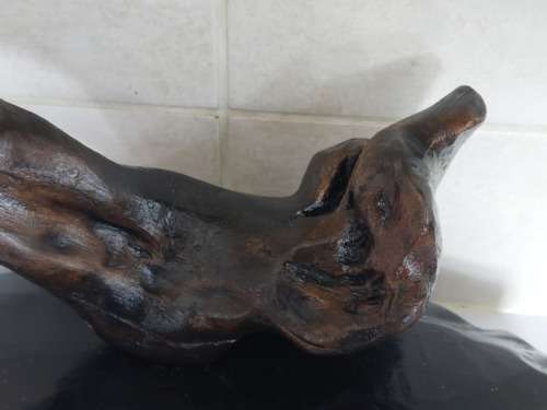 Spectacular SA carved wood sculpture signed L.T.S wow!!