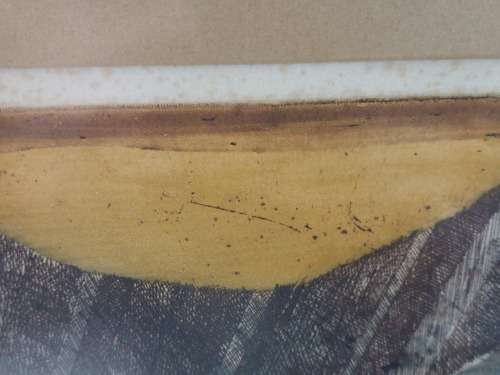 Wow!! Rene Carcan coloured etching E.A 590 x 490mm Value R6500