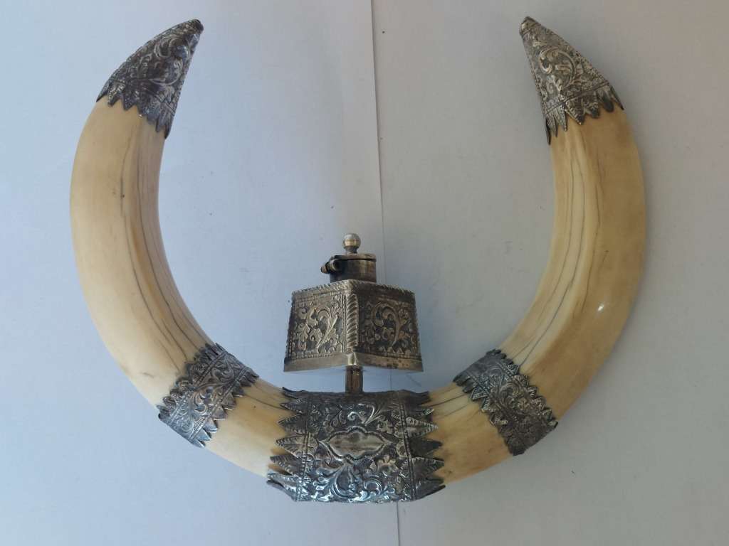 Rare!! 19th century Indian colonial silver boar tusk snuff box circa 1890`s Value R6500
