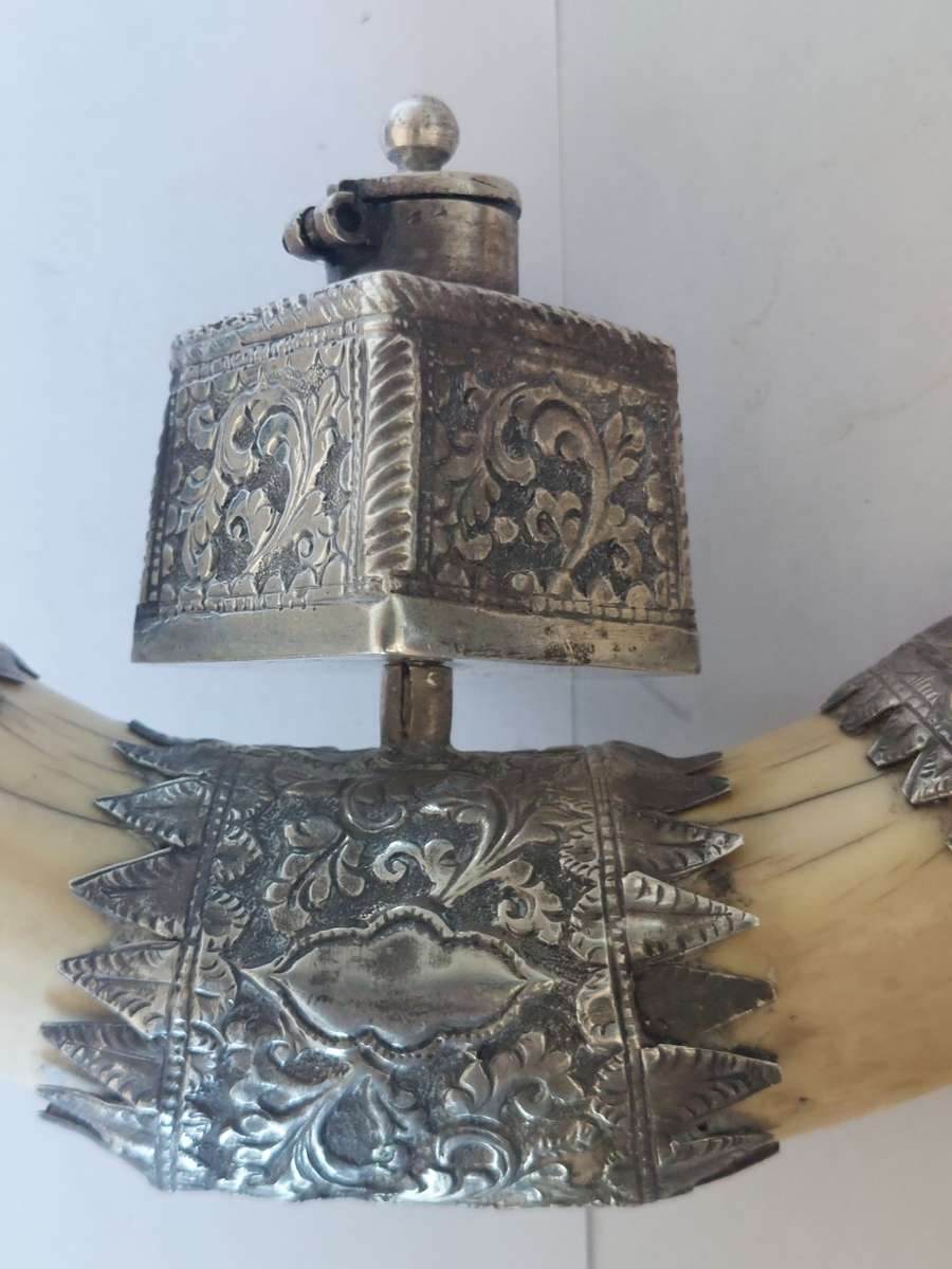 Rare!! 19th century Indian colonial silver boar tusk snuff box circa 1890`s Value R6500