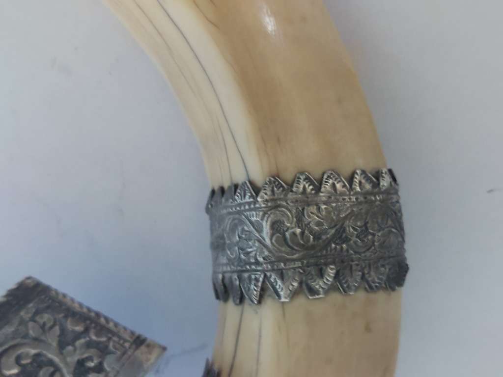 Rare!! 19th century Indian colonial silver boar tusk snuff box circa 1890`s Value R6500