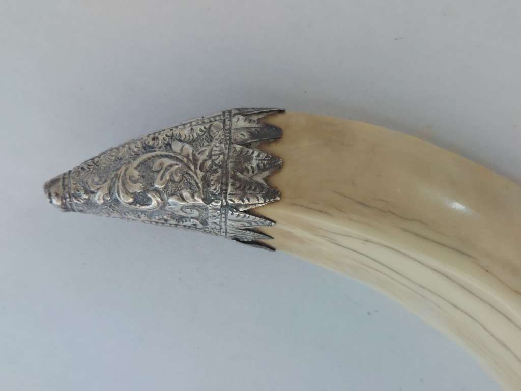Rare!! 19th century Indian colonial silver boar tusk snuff box circa 1890`s Value R6500