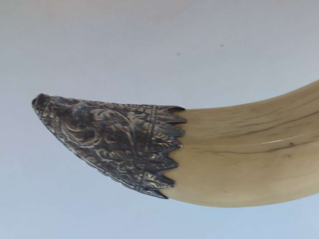 Rare!! 19th century Indian colonial silver boar tusk snuff box circa 1890`s Value R6500