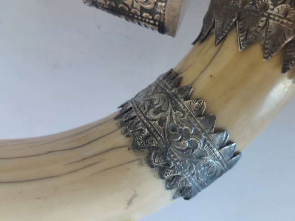 Rare!! 19th century Indian colonial silver boar tusk snuff box circa 1890`s Value R6500