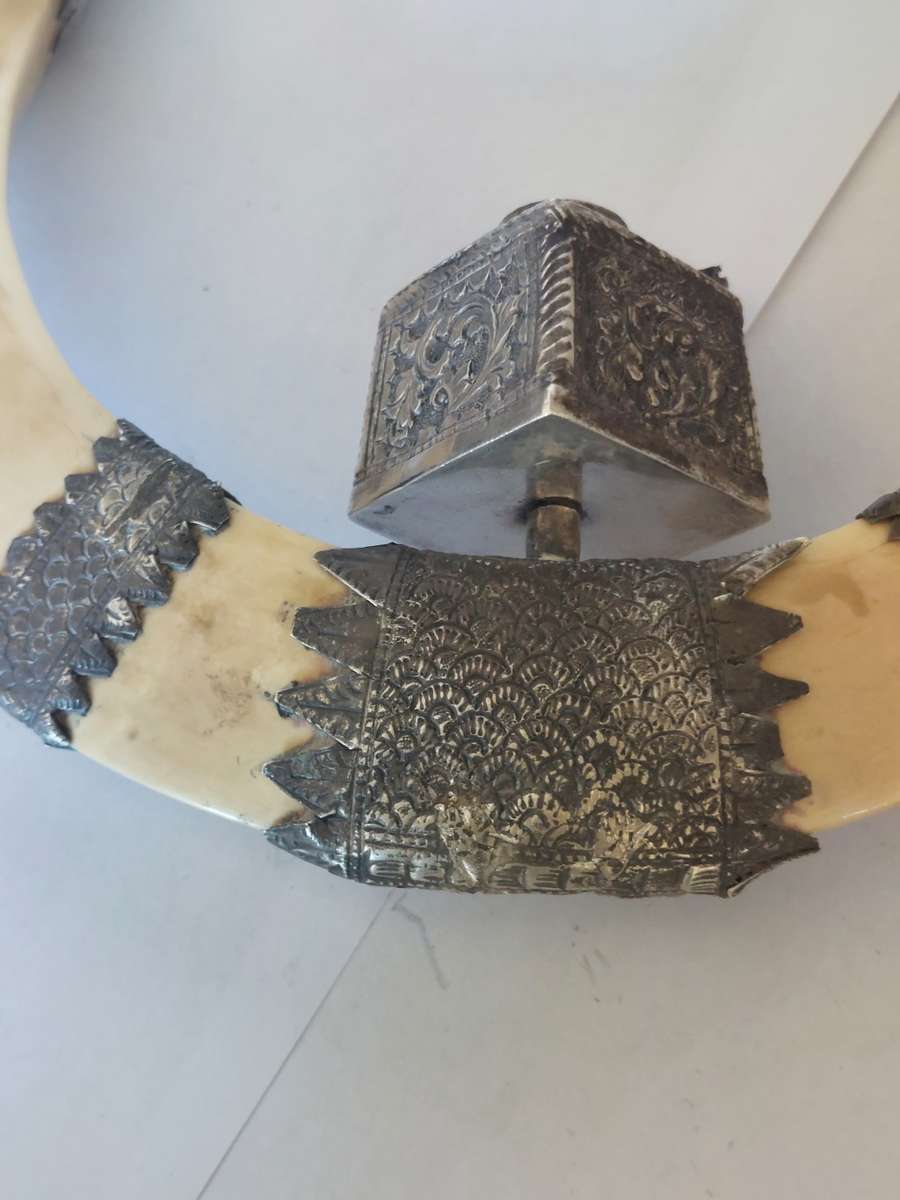 Rare!! 19th century Indian colonial silver boar tusk snuff box circa 1890`s Value R6500