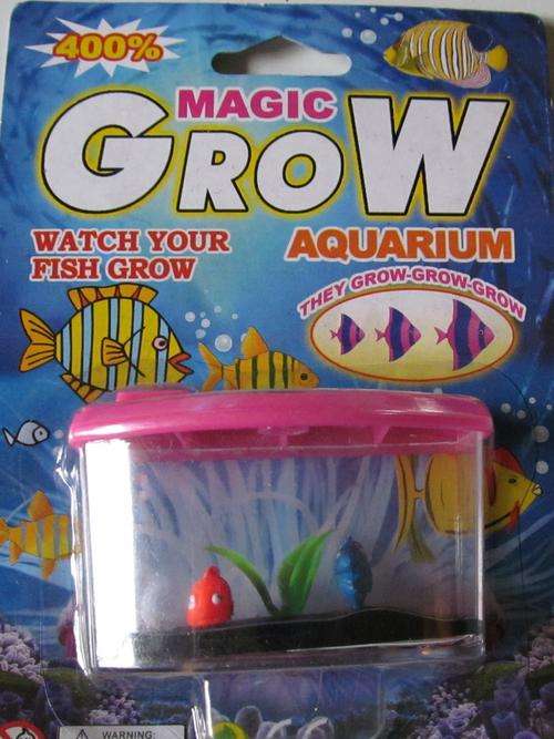 Magic Grow Aquarium.  Watch your fish grow and grow and grow.