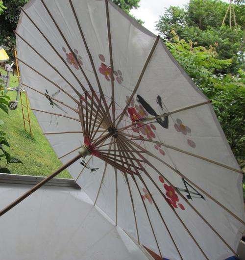 Stunning Chinese Umbrella .