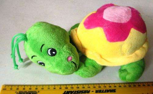 Super Cute Baby turtle - Shipping R60, ALL ADDITIONAL ITEMS FREE!!!