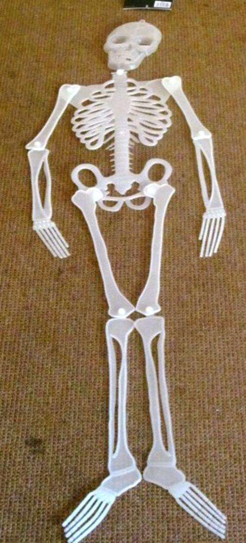 HUGE glow in the dark skeleton !!! A must have