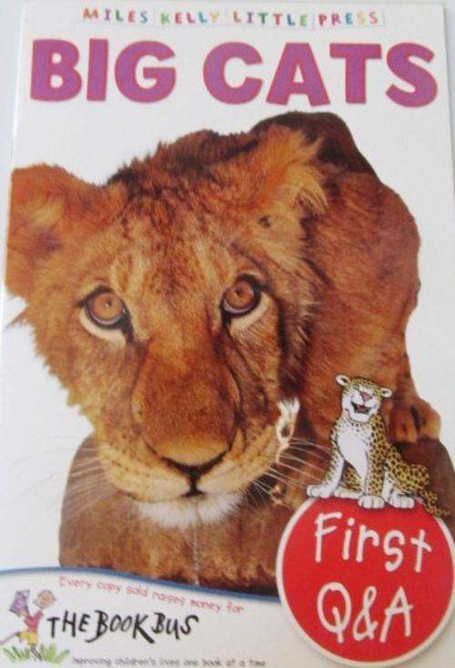 ***Great stocking Filler*** BIG CATS - First Questions and Answers
