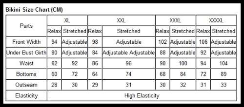 *DIVA RANGE* Pink Purple Vibrant Colorblock Plus Size Swimsuit