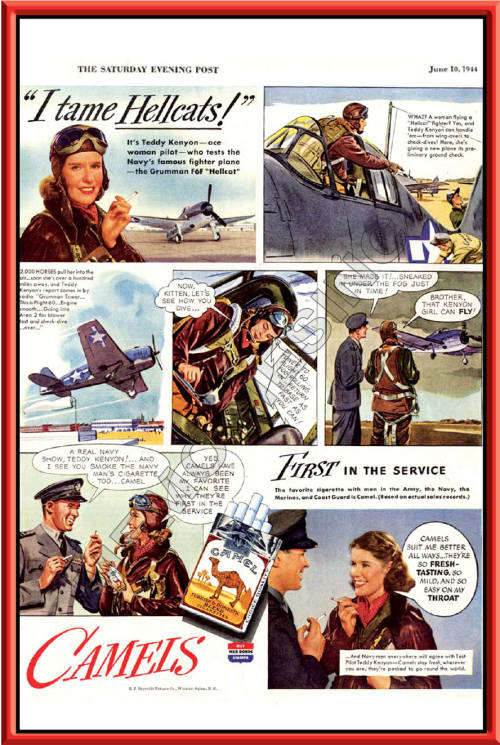 Camel - I tame Hellcats - Classic Metal Sign