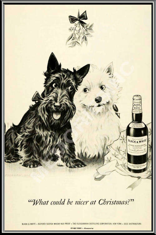 Black & White - Xmas - Classic Metal Sign