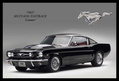 Mustang "Cammer" (1965) - Classic Metal Sign